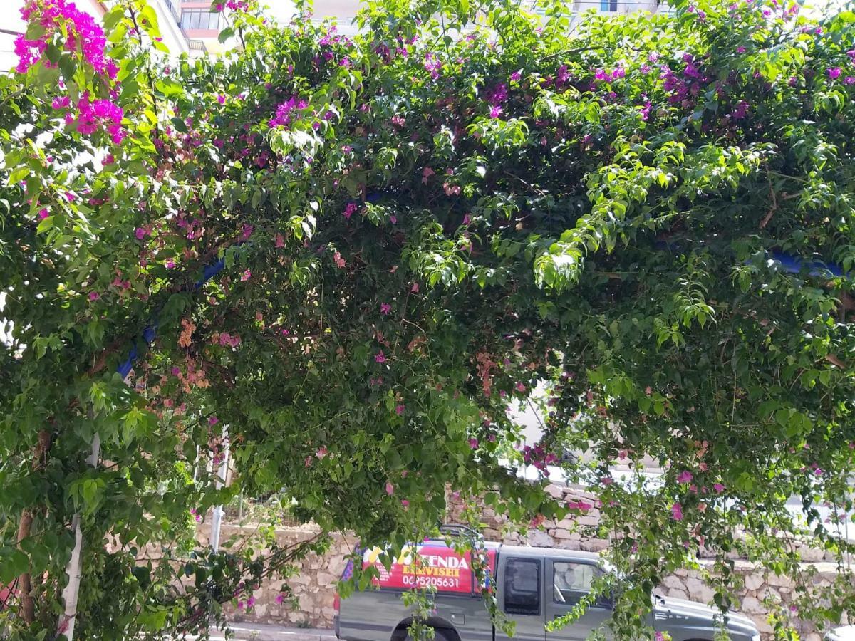 Iraa'S Apartment Sarandë 外观 照片